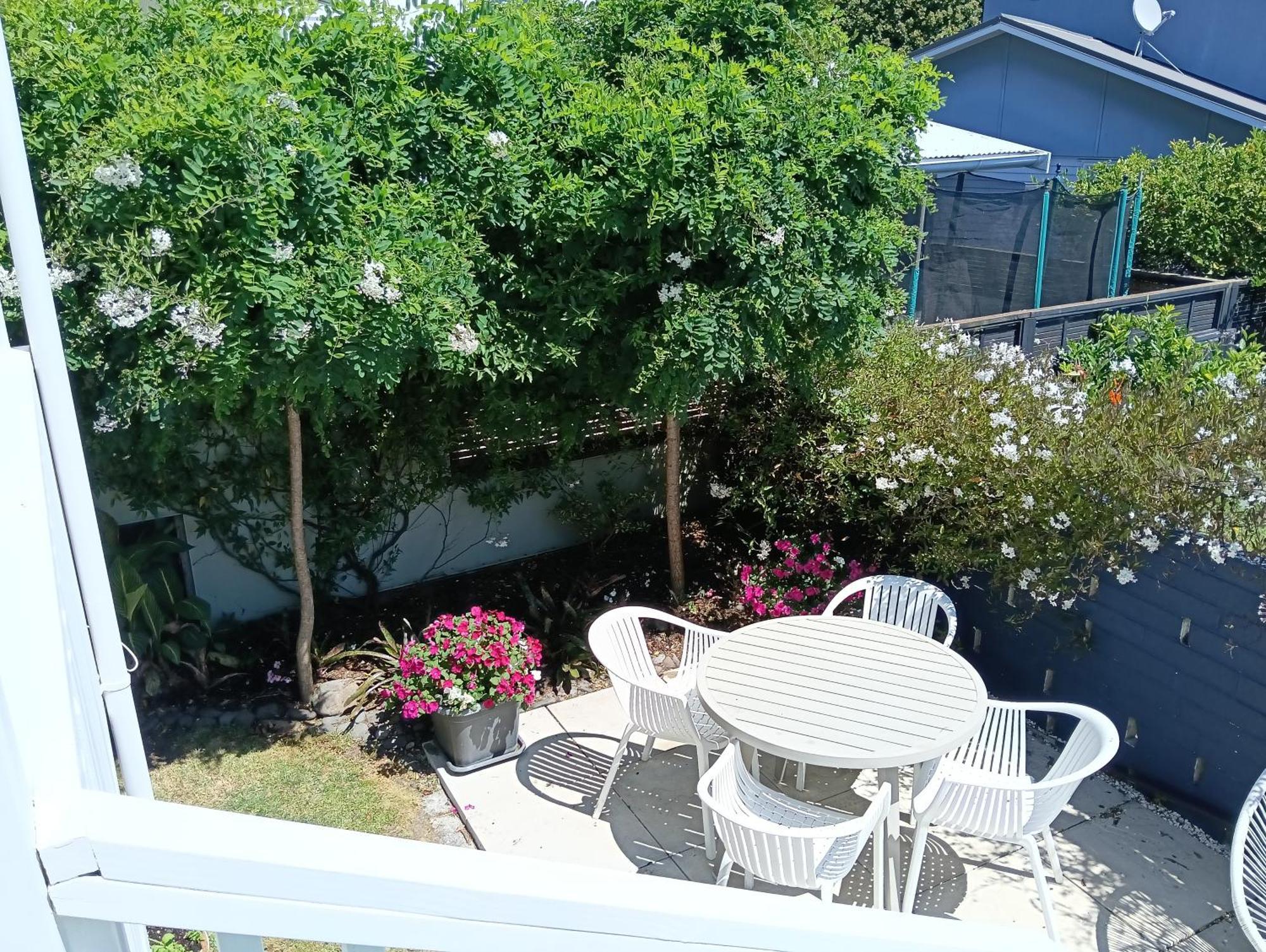 Omanu Cottage Mount Maunganui Rom bilde